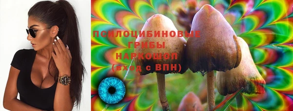 спиды Алексеевка