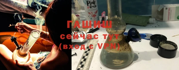 индика Алзамай