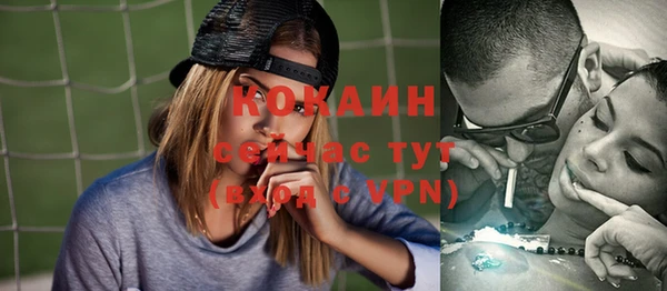 индика Алзамай